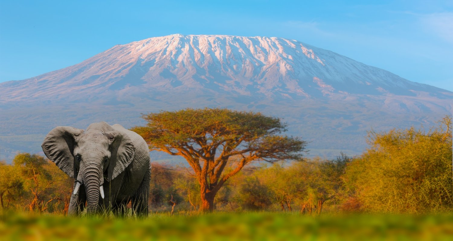 Tanzania