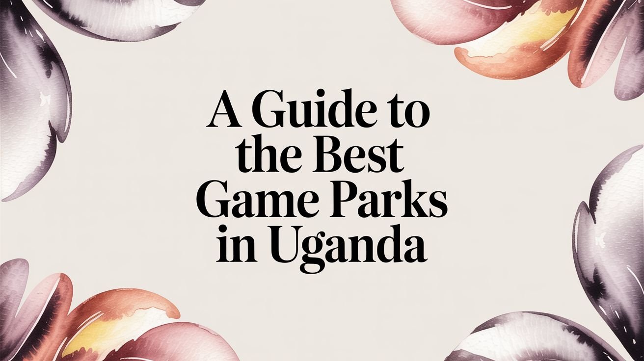 A Guide to the Best Game Parks in Uganda