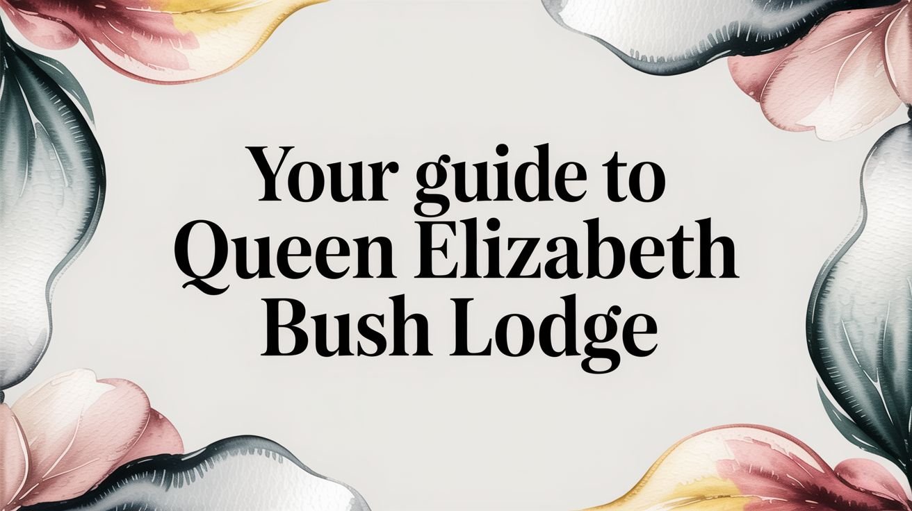 Your Guide to Queen Elizabeth Bush Lodge