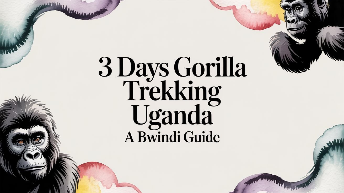 A Guide to 3 Days Gorilla Trekking in Uganda