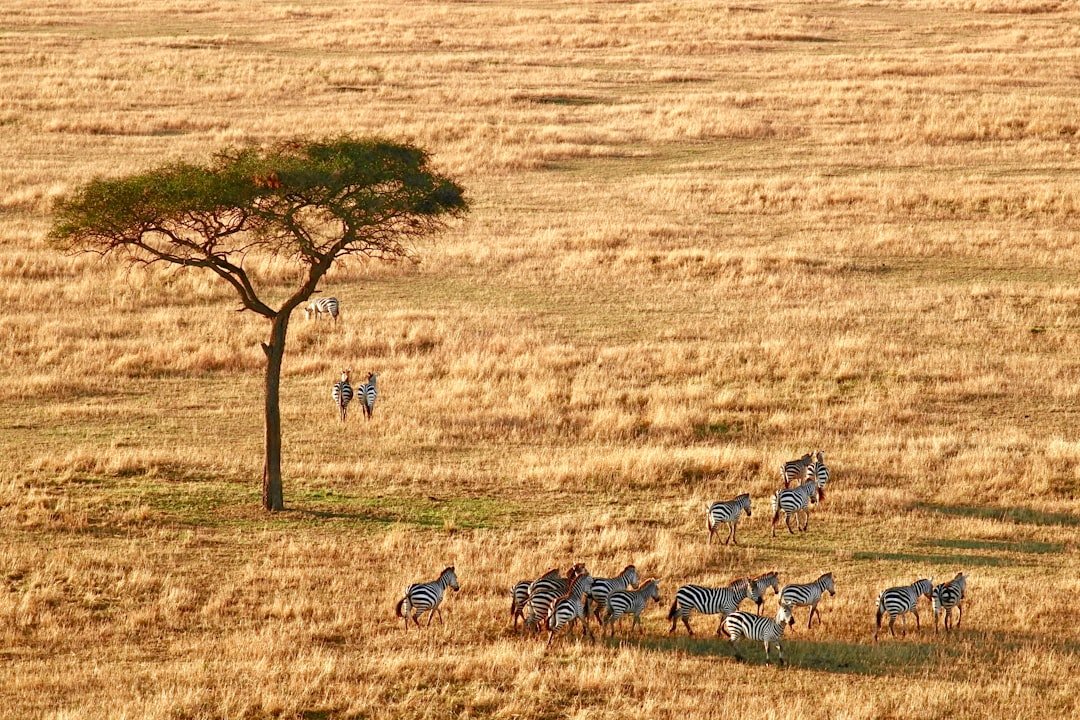 Arusha Coffee Lodge